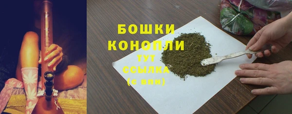 сатива Горно-Алтайск