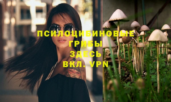 spice Горнозаводск