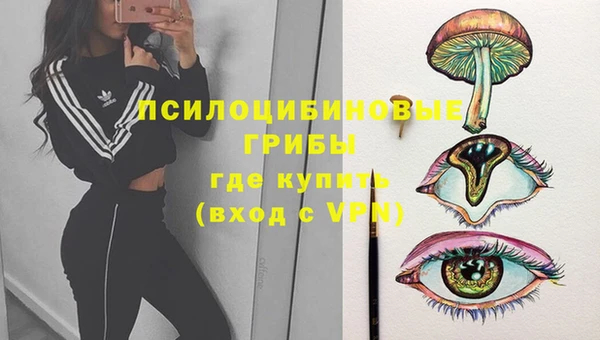 spice Горнозаводск