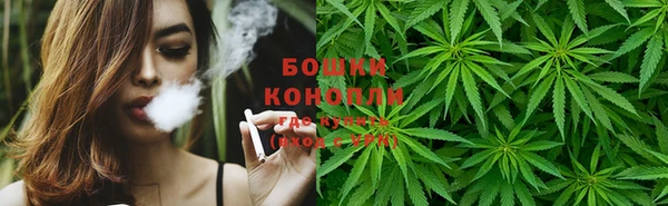 сатива Горно-Алтайск