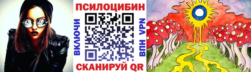 Купить закладки  Сретенск  Псилоцибиновые грибы Psilocybe 